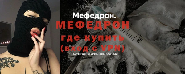 шишки Надым