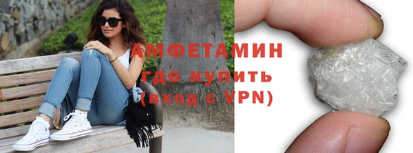 шишки Надым
