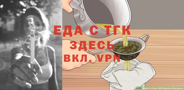 шишки Надым