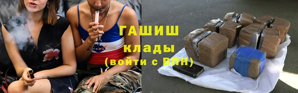 шишки Надым
