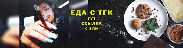 шишки Надым