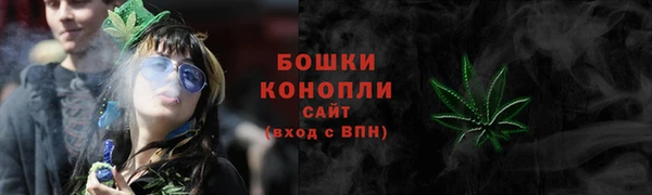 шишки Надым