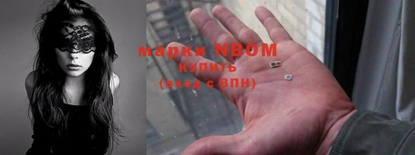 шишки Надым