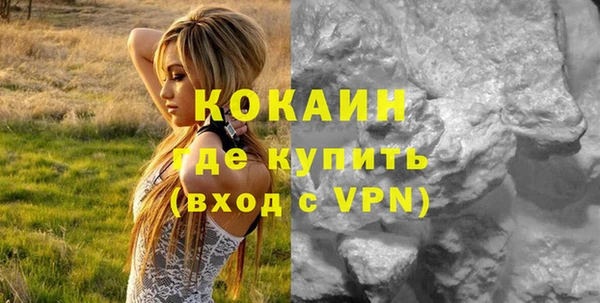 шишки Надым