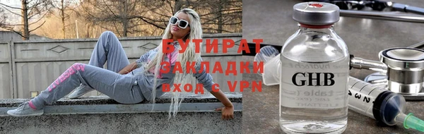 шишки Надым